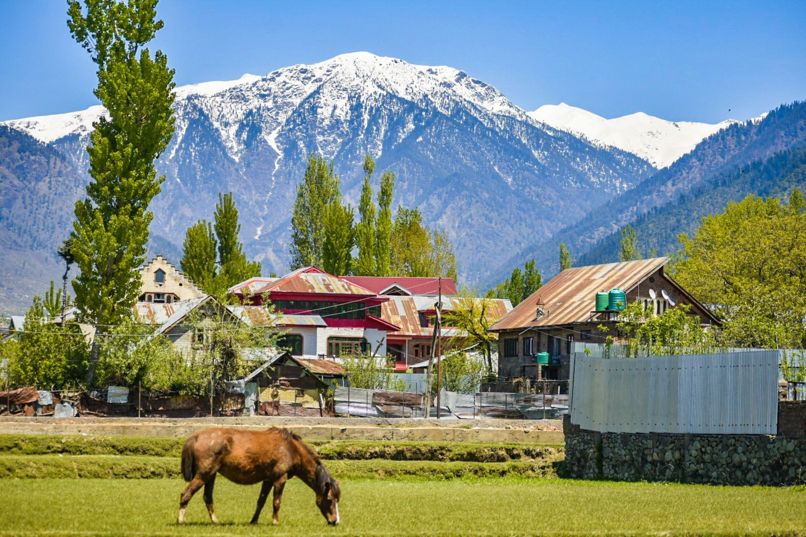 Kashmir Paradise Tour